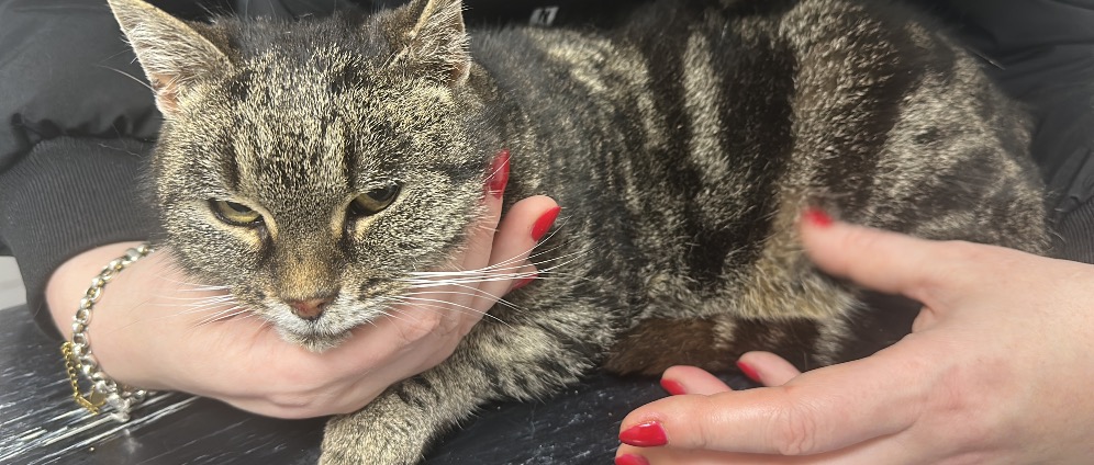 Geld inzamelen | Help Ouwe oud worden | Doneeractie