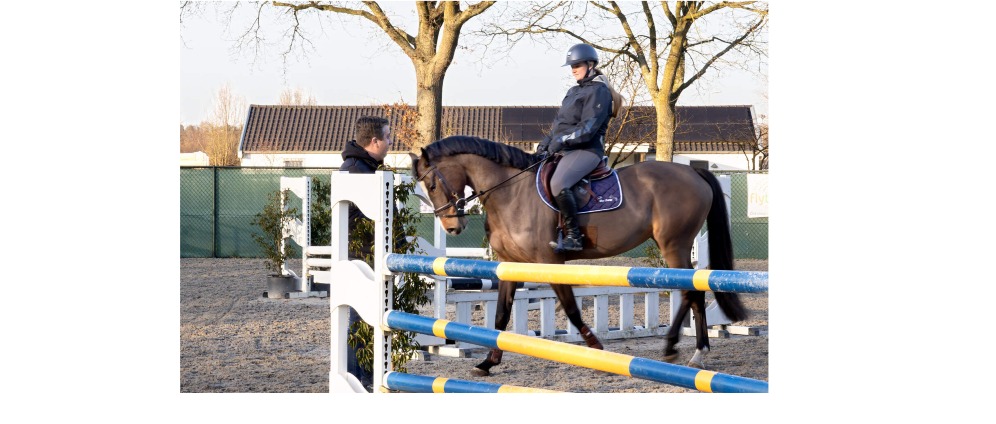 Geld inzamelen | Doneer actie om de boete te betalen en extra kosten voor de actie tegen het paardenbedrijf in gemeente peel en maas | Doneeractie