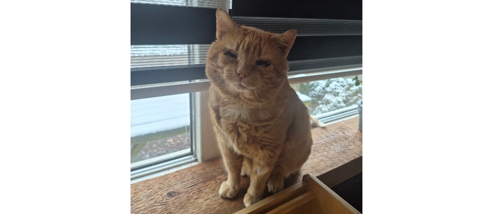 Geld inzamelen | Help Olaf zijn zicht te behouden | Doneeractie