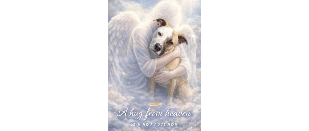 Geld inzamelen | Crematie voor onze hond | Doneeractie