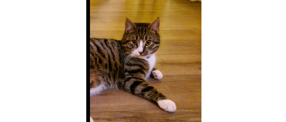 Geld inzamelen | Awaria kanalizacji | Doneeractie