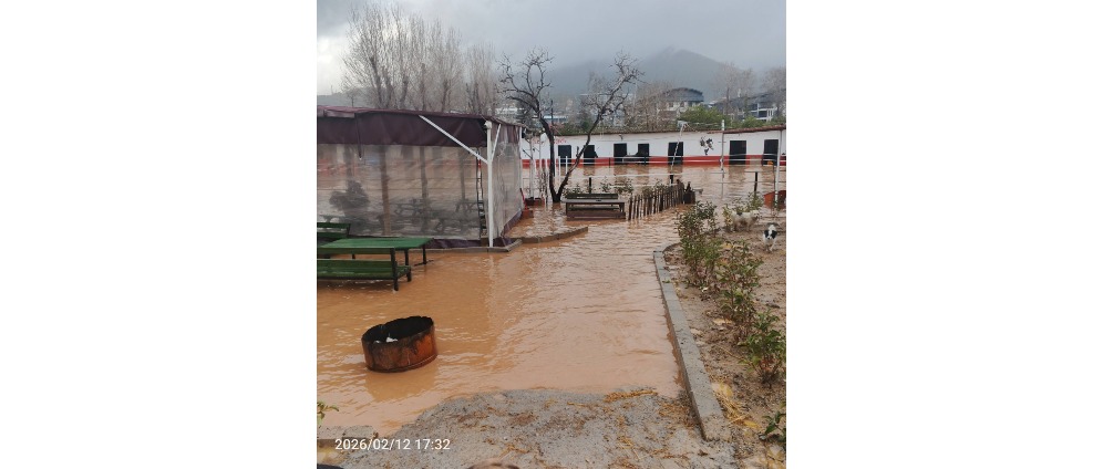 Geld inzamelen | Help Carpe Diem Stables in Alanya after devastating flooding | Doneeractie