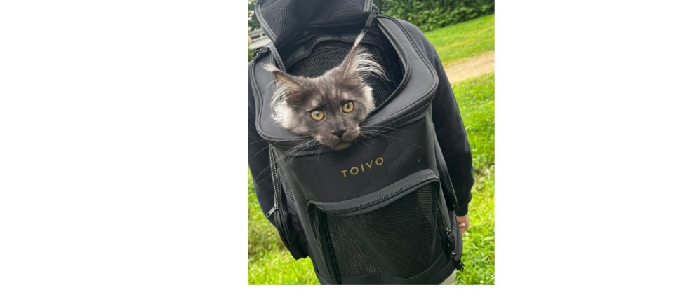 Geld inzamelen | Help Markus weer pijnvrij lopen | Doneeractie