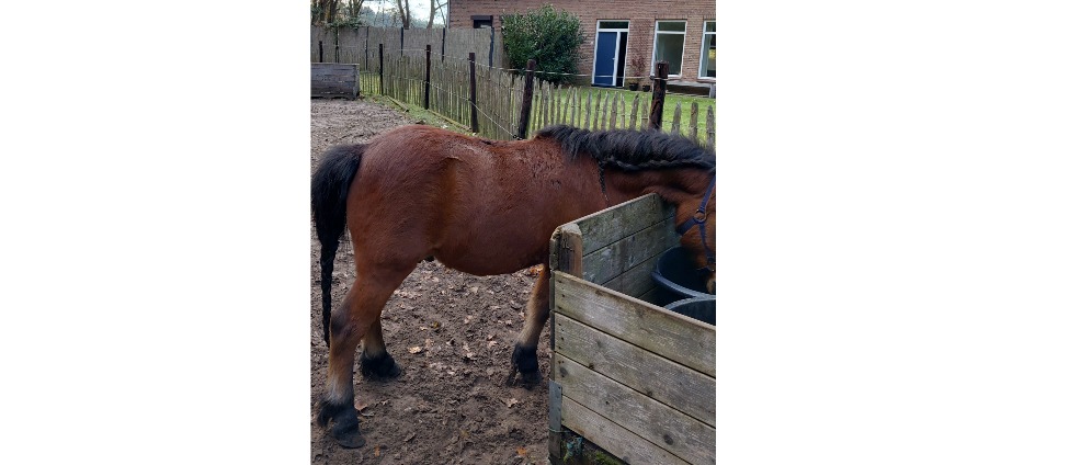 Geld inzamelen | Rij lessen | Doneeractie