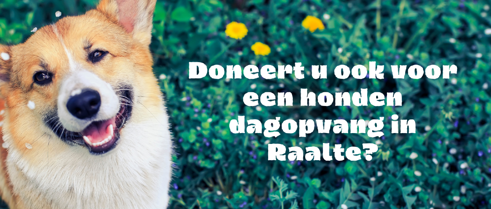 Geld inzamelen | Hondendagopvang gem. Raalte | Doneeractie