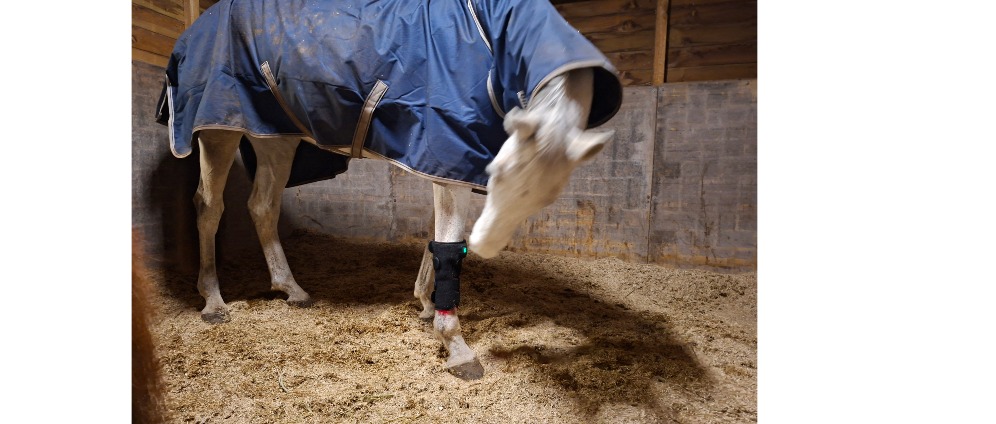 Geld inzamelen | Peesblessure | Doneeractie