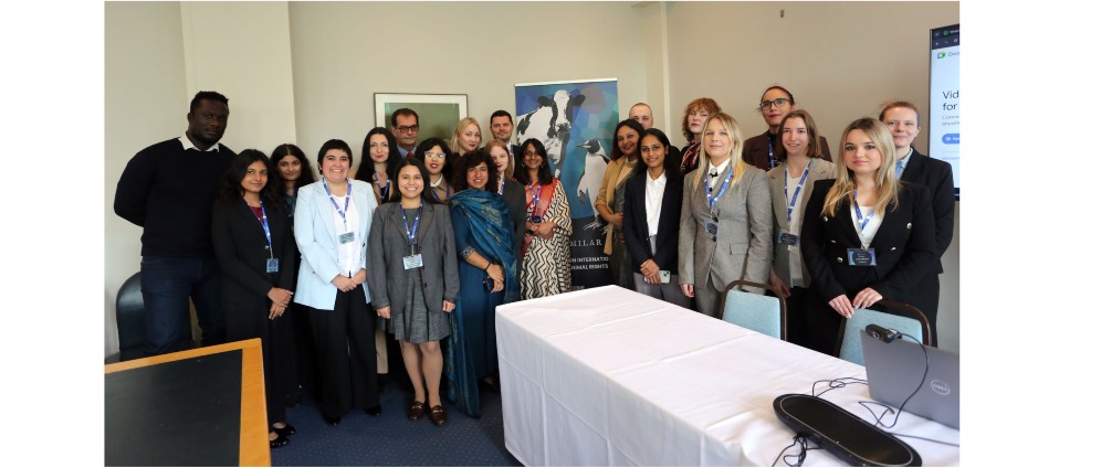 Geld inzamelen | Support Sparks Moot Train Future Animal Rights Advocates | Doneeractie