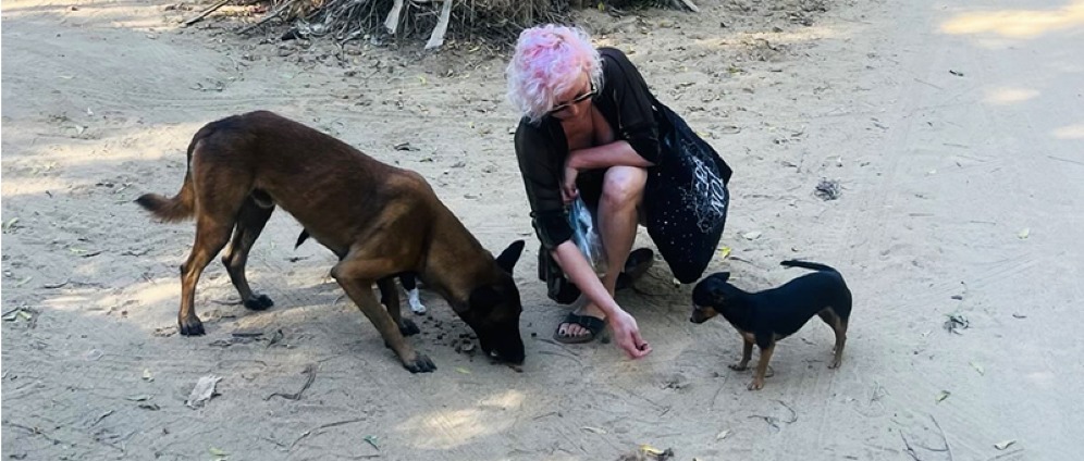 Geld inzamelen | Dogs of Mazunte | Doneeractie