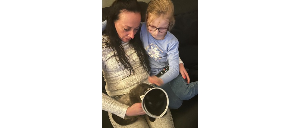 Geld inzamelen | Help de kitten van mijn dochtertje | Doneeractie