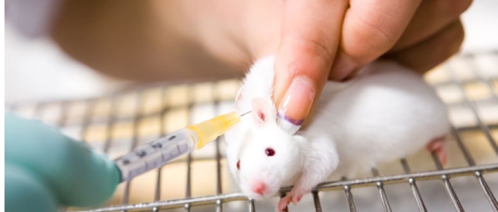 Geld inzamelen | Jong in actie tegen dierproeven | Doneeractie