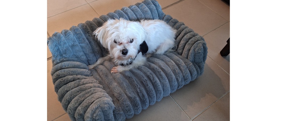 Geld inzamelen | BIYOUKE | Doneeractie