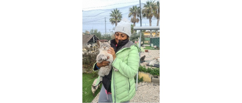 Geld inzamelen | SOS Help Lucia en haar katten | Doneeractie