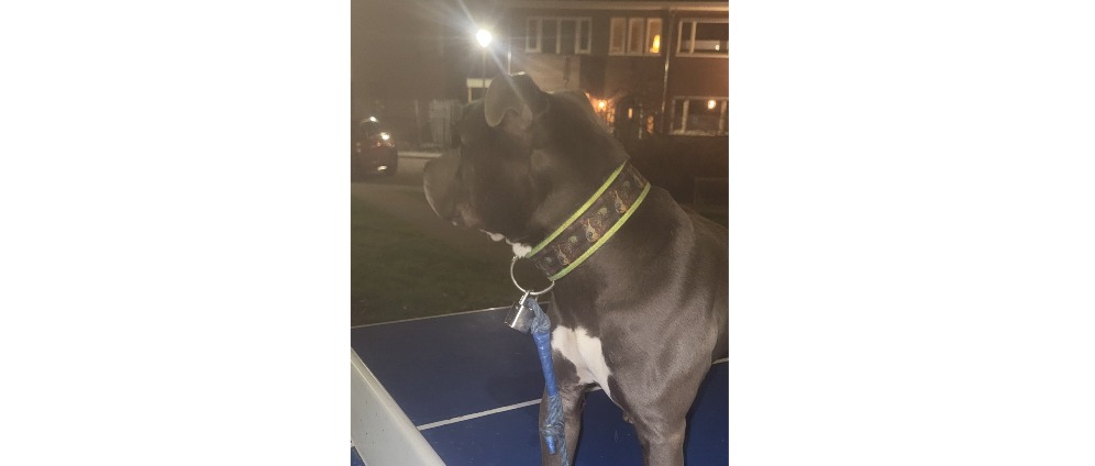 Geld inzamelen | Na heel wat pech toch de kracht gevonden in mezelf | Doneeractie