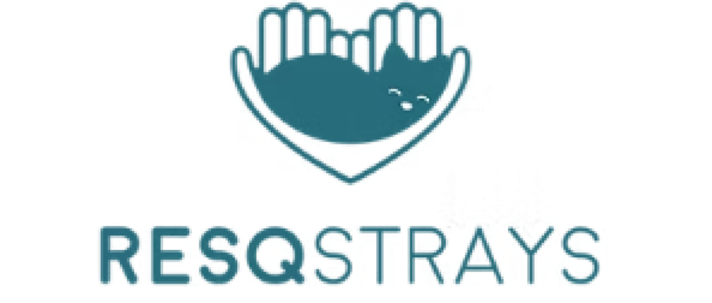 Geld inzamelen | Steun Resqstrays 200 katten wachten op jouw hulp | Doneeractie