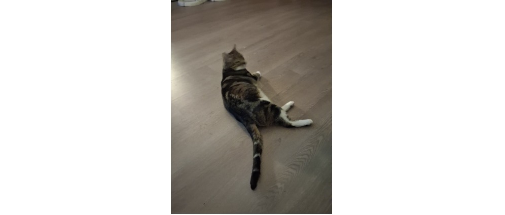 Geld inzamelen | Help en steun wopke | Doneeractie