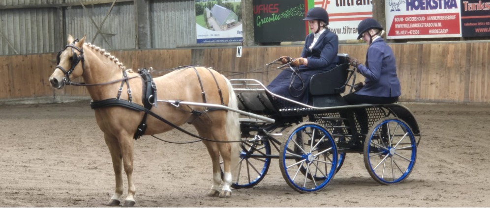 Geld inzamelen | Help mij als paramenner met een aantal gepaste koets op wedstrijd te gaan | Doneeractie