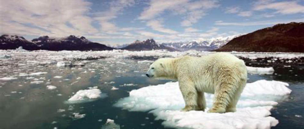 Geld inzamelen | Action For Climate Protection | Doneeractie