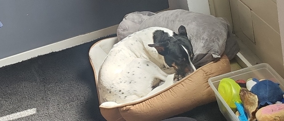 Geld inzamelen | Help mij alstublieft aan Rust in mijn koppie | Doneeractie