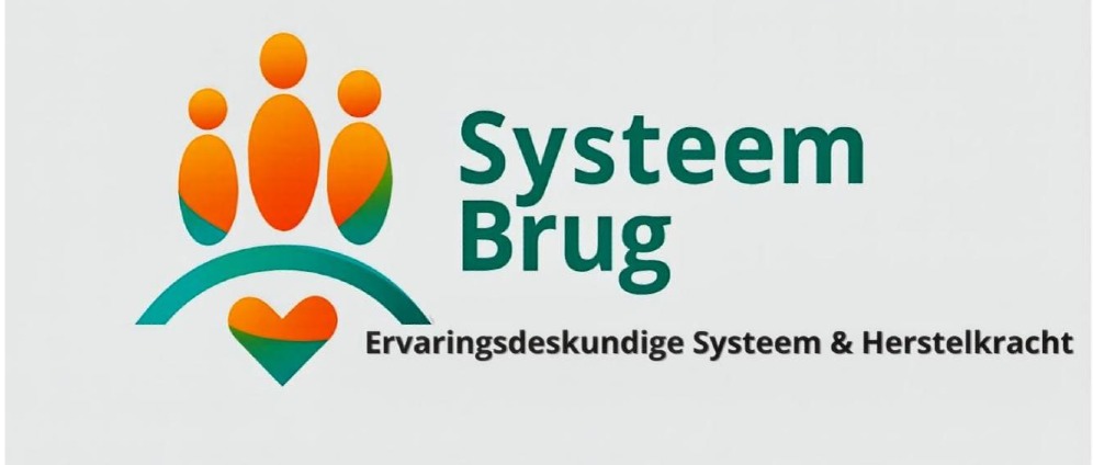 Geld inzamelen | Transformatie van Jeugdzorg door Ervaringsdeskundigheid | Doneeractie