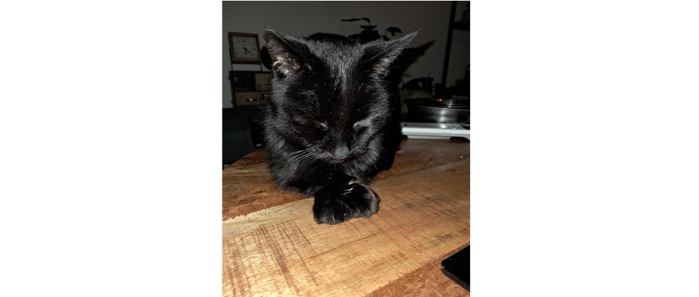 Geld inzamelen | ugly heeft hulp nodig | Doneeractie