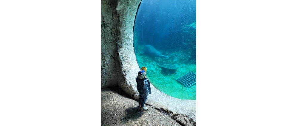 Geld inzamelen | Dromen van een huisje | Doneeractie