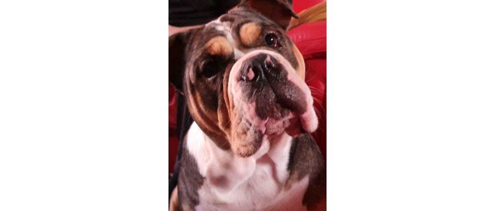 Geld inzamelen | Voor lieve Sula | Doneeractie