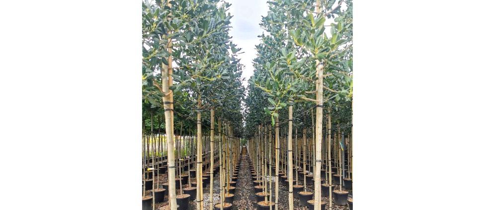 Geld inzamelen | Doneeractie Geef de natuur een tweede adem | Doneeractie