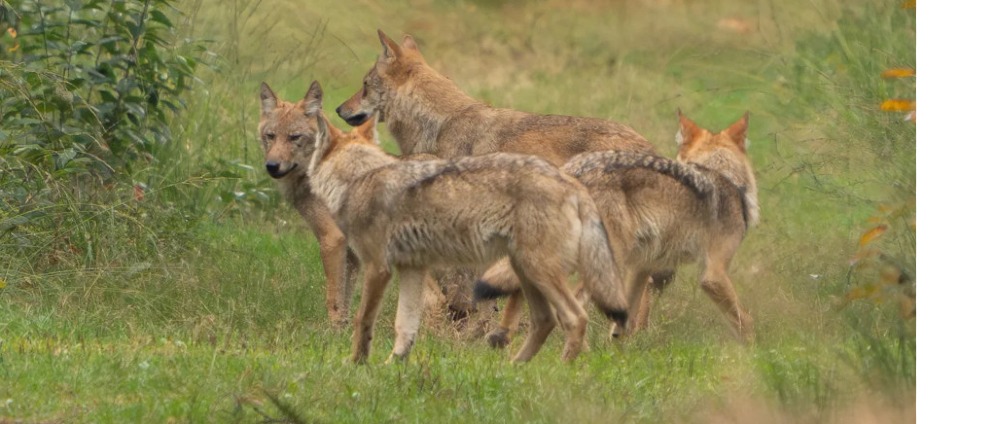 Geld inzamelen | Deskundigenkosten second opinions en sectierapporten | Doneeractie