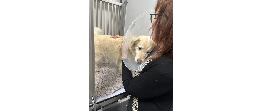 Geld inzamelen | TOFFU 3 jaar, | Doneeractie