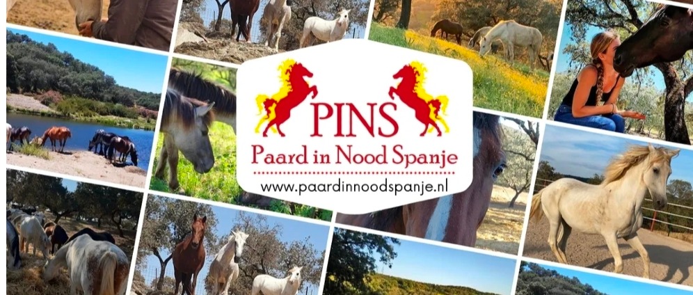 Geld inzamelen | Paard in nood Spanje | Doneeractie