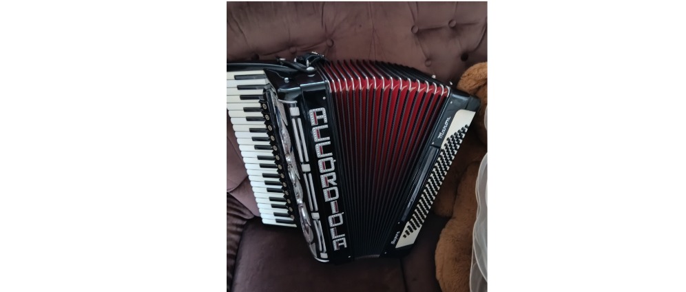 Geld inzamelen | Diefstal Accordeon | Doneeractie