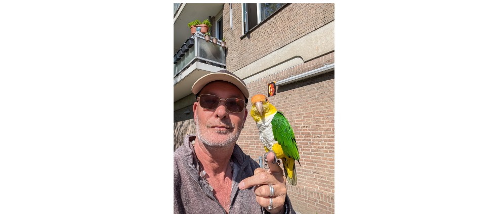 Geld inzamelen | Help Yoki | Doneeractie