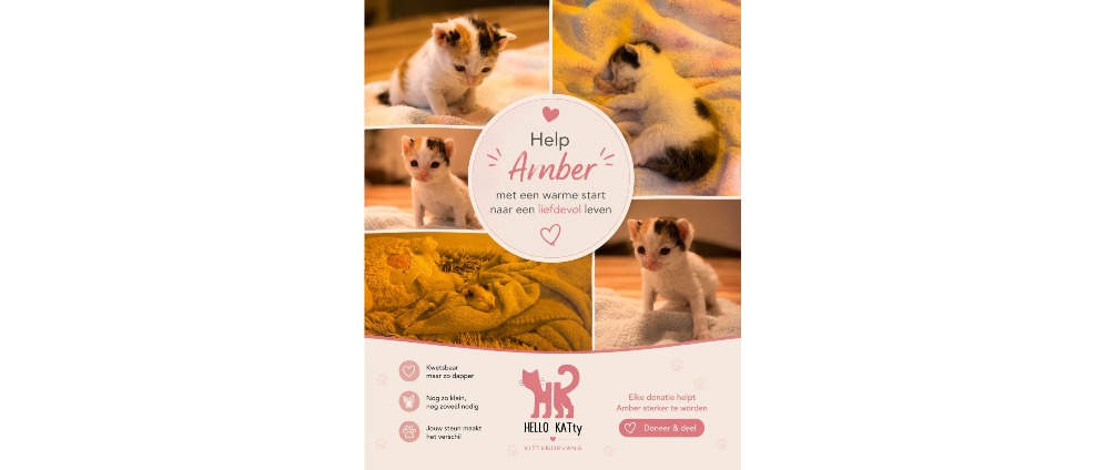 Geld inzamelen | Help Amber ademen voordat het te laat is ! | Doneeractie