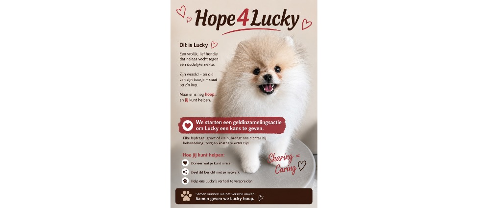 Geld inzamelen | hope 4 Lucky | Doneeractie