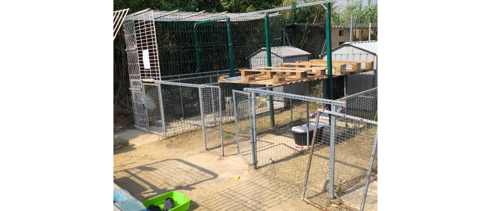 Geld inzamelen | Help shelter renoveren tbv rescue honden | Doneeractie