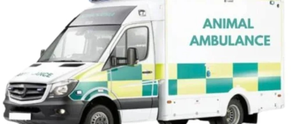 Geld inzamelen | Dierenambulance | Doneeractie