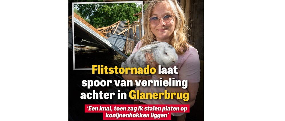 Geld inzamelen | Spoed vakantie opvang voor konijnen | Doneeractie