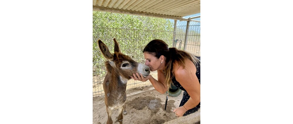 Geld inzamelen | Donkey Sanctuary Bonaire | Doneeractie