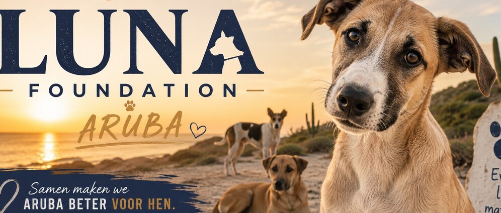 Geld inzamelen | Luna Foundation Aruba | Doneeractie