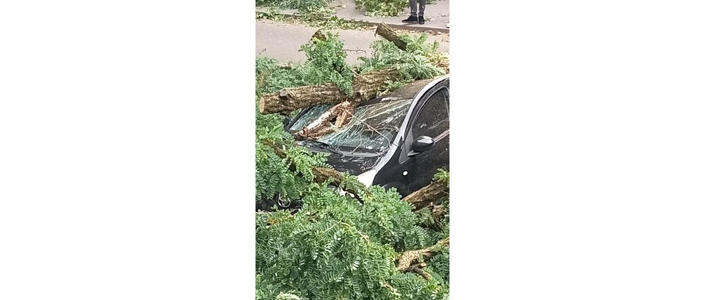 Geld inzamelen | Stormschade auto verwoest | Doneeractie