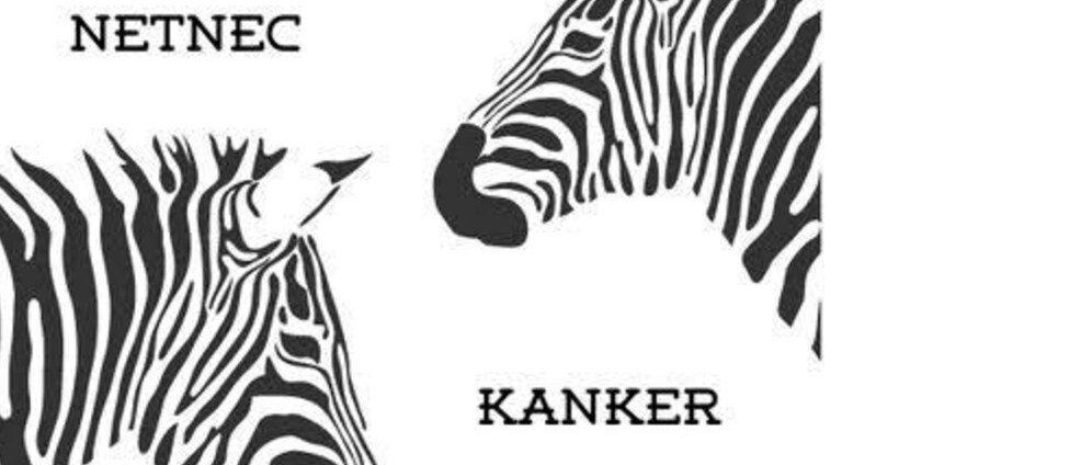 Geld inzamelen | 10 kilometer voor meer onderzoek naar NET kanker | Doneeractie