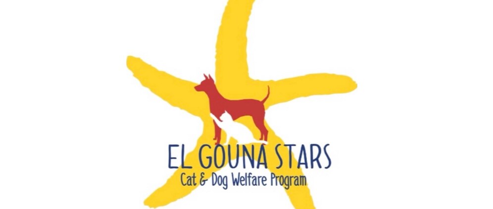 Geld inzamelen | Voor El Gounastars voor alle hulp en bijstand voor dierenhulp en leed poesjes en hondjes | Doneeractie