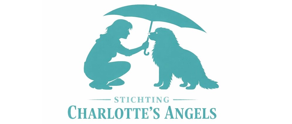 Geld inzamelen | Stichting Charlotte's Angels | Doneeractie