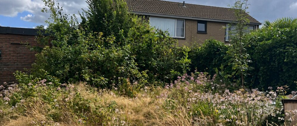 Geld inzamelen | Een oase van rust voor onze lieve collega, help jij ons mee? | Doneeractie