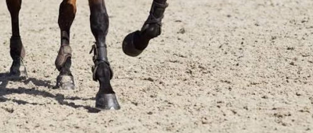 Geld inzamelen | Samen bouwen aan de nieuwe buitenbaan van de Haarlemmermeerse Bosmanege | Doneeractie