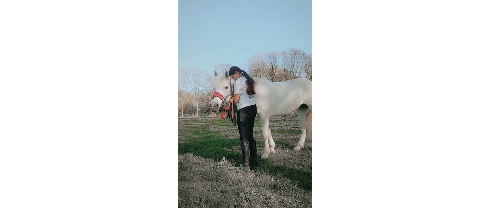 Geld inzamelen | Hoop Voor Onze Liefste Pony Hope ️ | Doneeractie