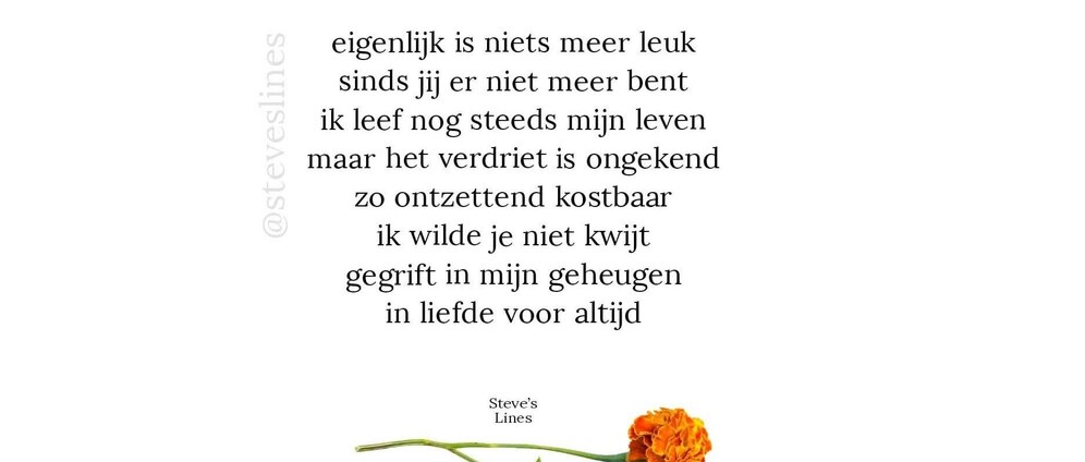 Geld inzamelen | Moeilijke rouwproces | Doneeractie