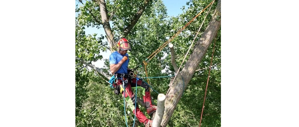 Geld inzamelen | Van boom naar boom Help mijn werktruck op weg | Doneeractie