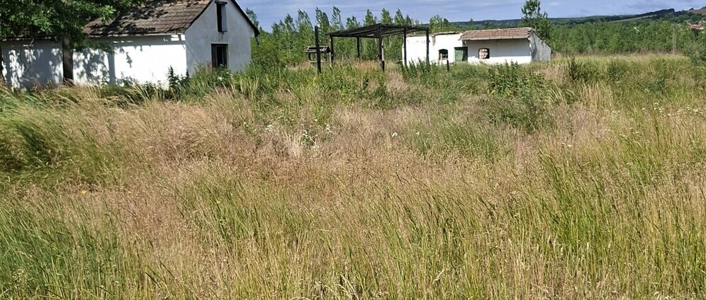 Geld inzamelen | Een boerderij redden | Doneeractie