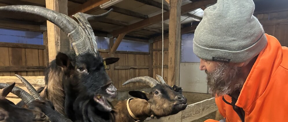 Geld inzamelen | Licht voor Paolo en de boerderij | Doneeractie